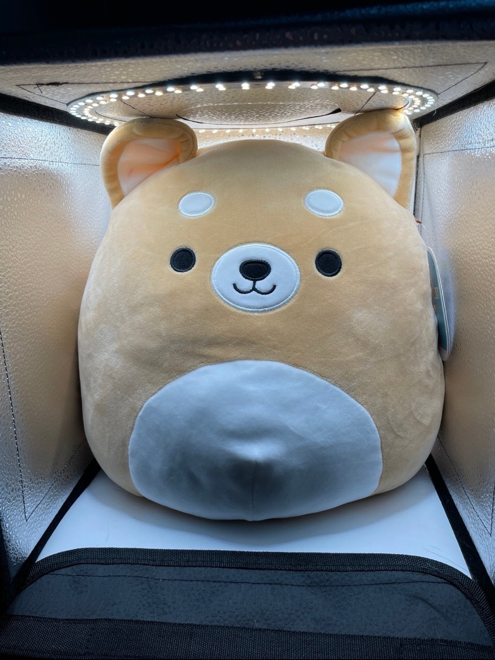 Squishmallows Tan and Cream Shiba Inu Plush